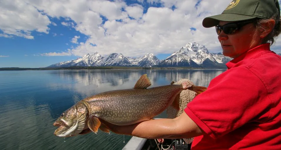 Angler holding a large lake trout on Jackson Lake with the Grand Tetons reflected behind